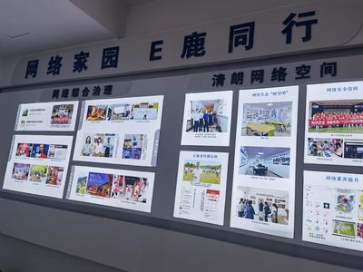 临海市:追梦鹿