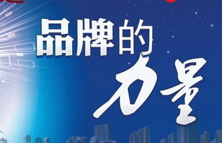 苔米传媒 产品为骨,企业文化为灵魂,羽翼则是...