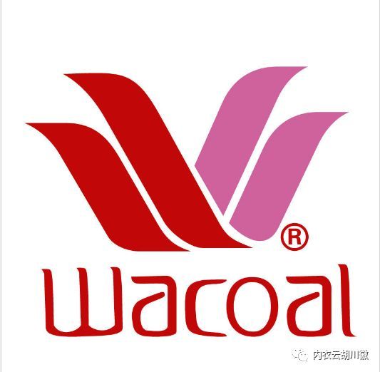 内衣界的广州恒大 解读维秘和华歌尔两大高管加盟都市丽人