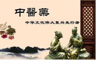 中医学者谭镇平让中医药文化在现代丝绸之路上大放异彩