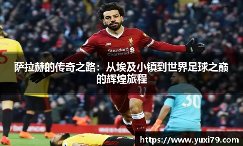 乐发Vll官网