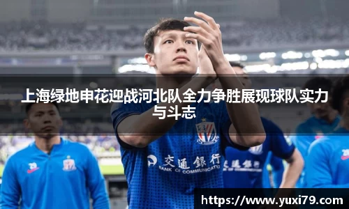 乐发Vll官网